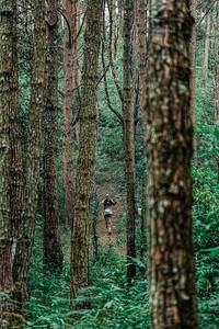 BIB: 
                            <button type="button" onclick="openModal(25235624)" class="btn btn-primary btn-sm float-right btn-popup" data-toggle="modal" data-target=".modal-high-quality">
                        <i class="fas fa-shopping-cart"></i> Add to Cart
                    </button>
                                            <button type="button" onclick="isThisMe(25235624, true)" class="btn btn-success btn-sm float-right btn-popup btn-isme hidden" data-toggle="tooltip" data-placement="bottom" title="นี่คือรูปของคุณใช่ไหม คลิกที่นี่เพื่อเอาเข้าอัลบั้ม">
                        <i class="fas fa-plus"></i> Add to album
                    </button>
                    <button type="button" onclick="isThisMe(25235624, false)" class="btn btn-warning btn-sm float-right btn-popup btn-isnotme hidden">
                        <i class="fas fa-ban"></i> Remove from album
                    </button>